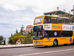 Hop-On Hop-Off Tour of Funchal and Câmara de Lobos in Madeira